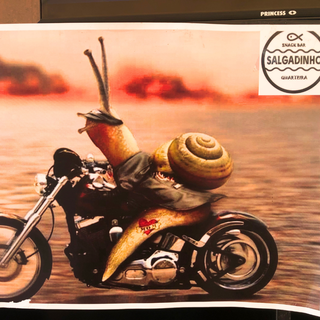 Caracóis (Snails) 7 O Salgadinho in Quarteira