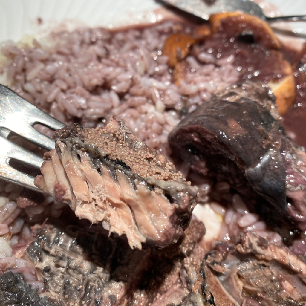 Lampreia (Sea Lamprey) 4 lampreia fork